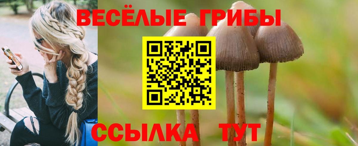где можно купить наркотик  Галлюциногенные грибы Magic Shrooms  Псилоцибиновые грибы мухоморы  Вход с VPN  Каспийск 