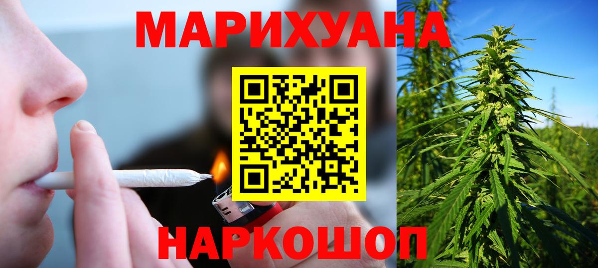 Бошки Шишки гибрид Каспийск